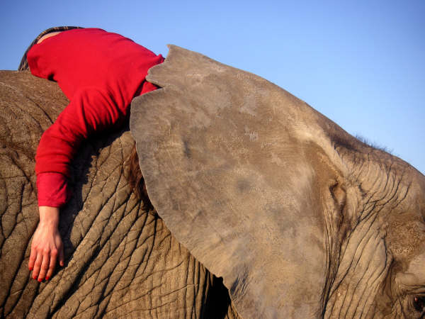 Video by Jochen Dehn